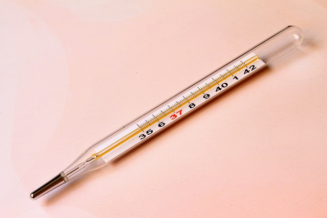 Thermometer entsorgen