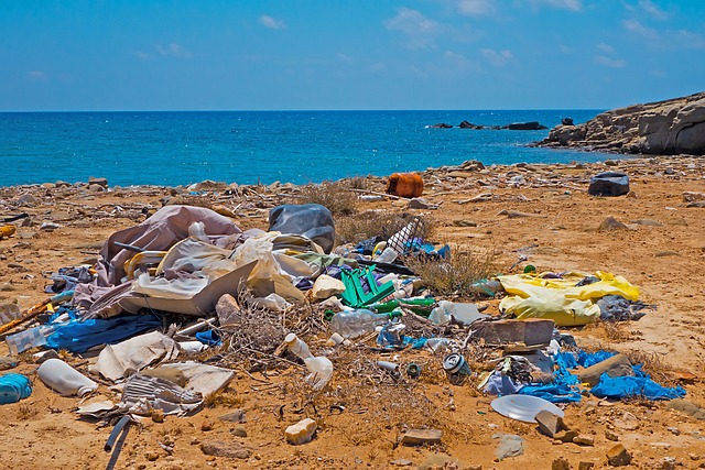 Plastikrecycling: Tipps und Tricks für eine nachhaltige Zukunft